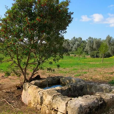 Masseria Causio * Giurdignano