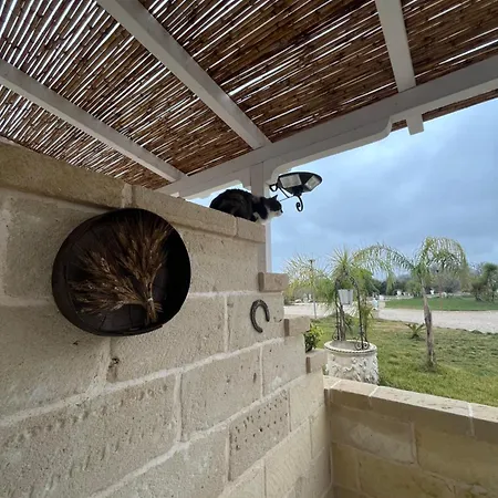 Masseria Causio Farma