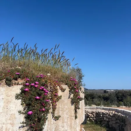 팜스테이 Masseria Causio *