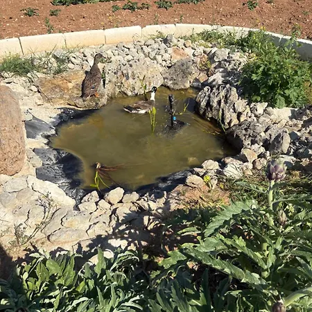 Farm stay Masseria Causio