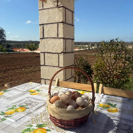 Masseria Causio * ג'ורדיניאנו