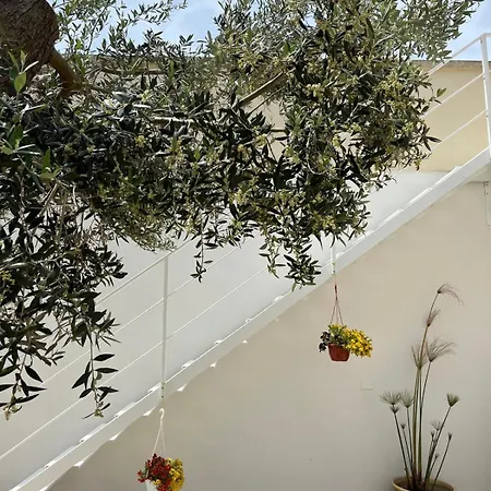 Masseria Causio Giurdignano