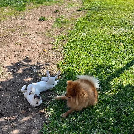 Masseria Causio Farma