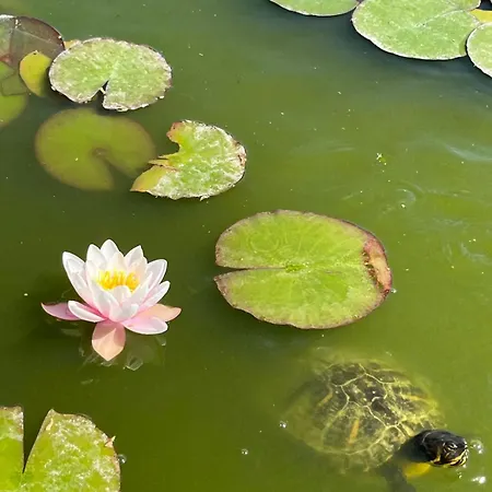 Masseria Causio 팜스테이 기우르디냐노