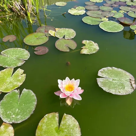 팜스테이 Masseria Causio 기우르디냐노