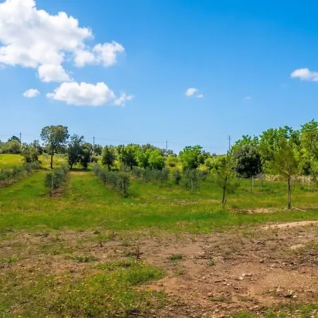 Masseria Causio בית חווה ג'ורדיניאנו