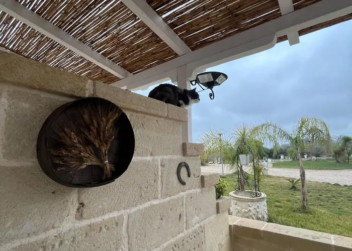 Masseria Causio בית חווה