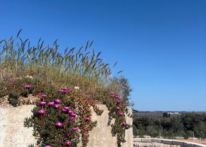 Çiftlik konaklama Masseria Causio *