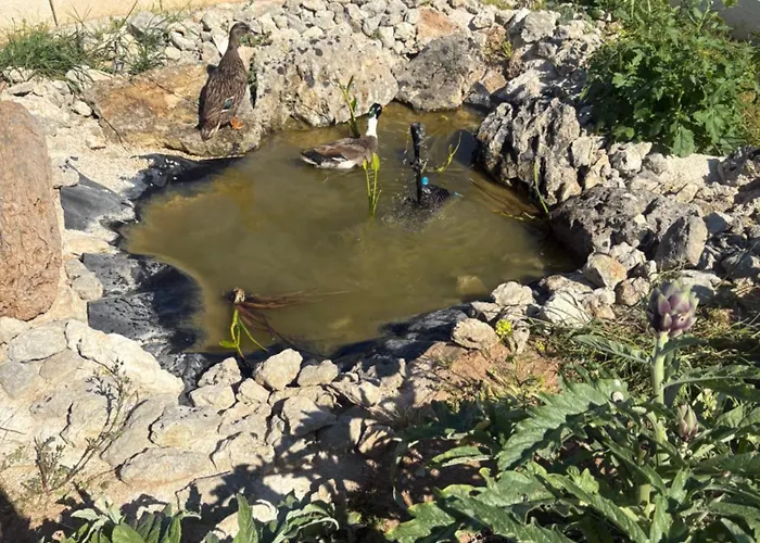 בית חווה Masseria Causio