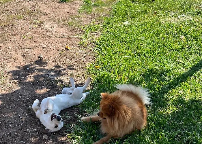 Masseria Causio Çiftlik konaklama